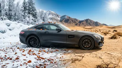 seasonal wrap care maximize your vinyls lifespan year round 2026 04 01 thumb